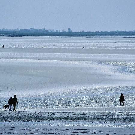 Pierre & Premium De La